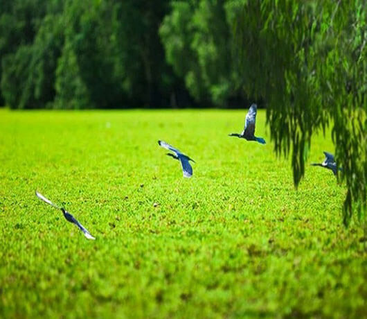 Thuốc Tây hạ áp uống theo bảo hiểm không mất tiền, tại sao nên dùngThanh Áp Đan?